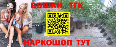 spice Рязань