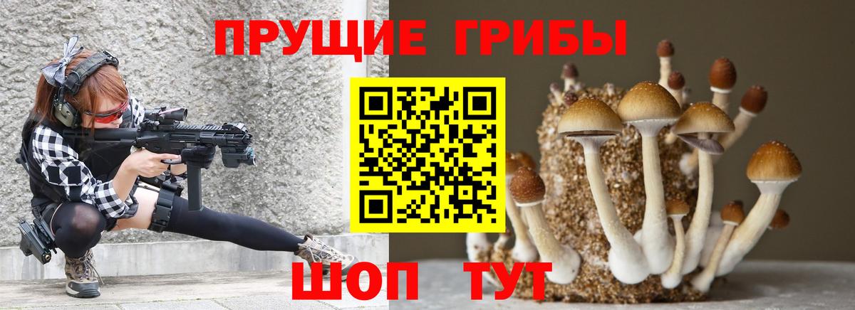 Обнинск  Галлюциногенные грибы мицелий  Вход с VPN 
