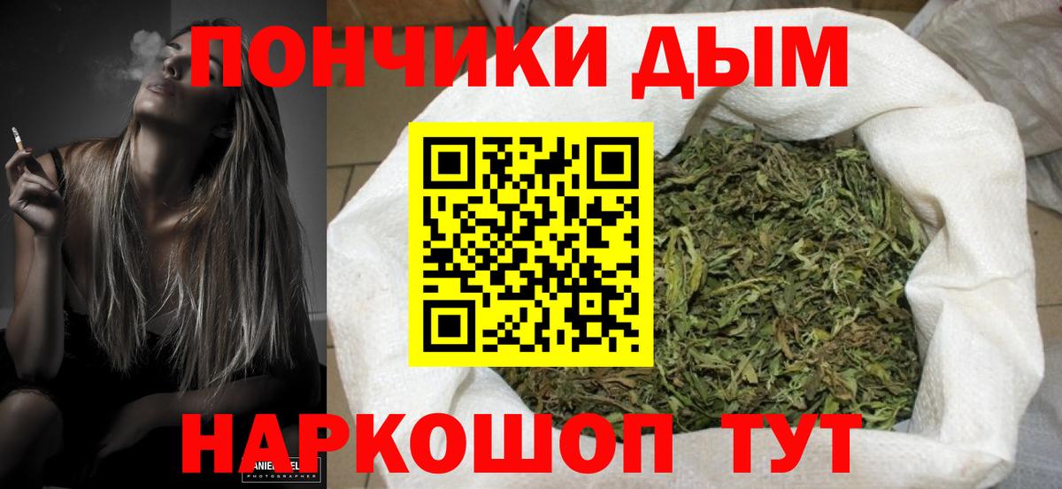 Канабис OG Kush Обнинск